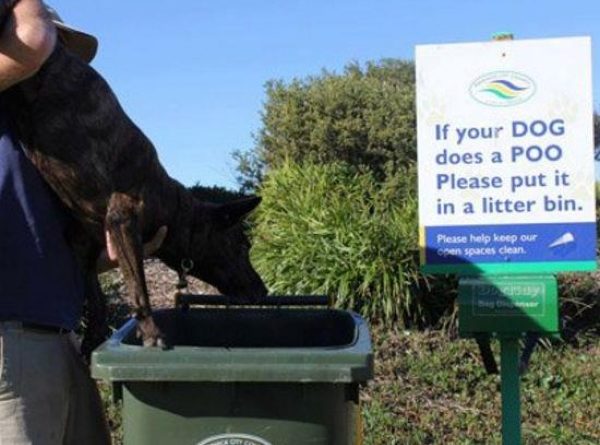 If Your Dog Does A Poo - Dog Humor