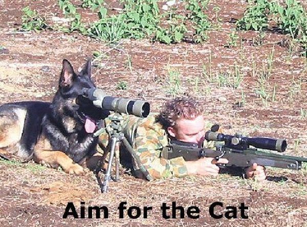Sniper Dog - Dog humor