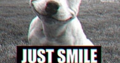 Just Smile - Dog humor