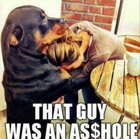 There, There - Dog humor