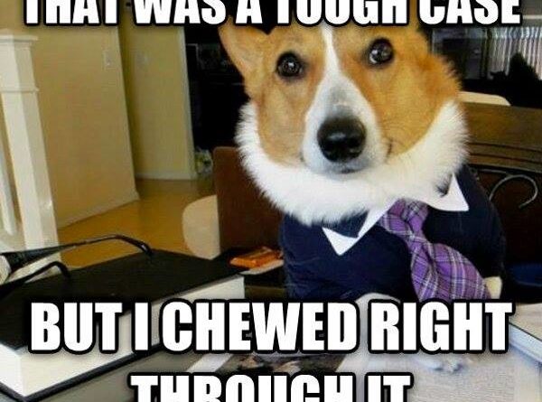 That Was A Though Case - Dog humor