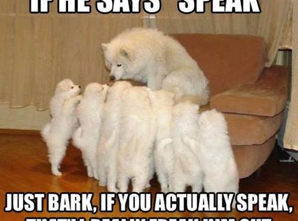 Just Bark - Dog Humor