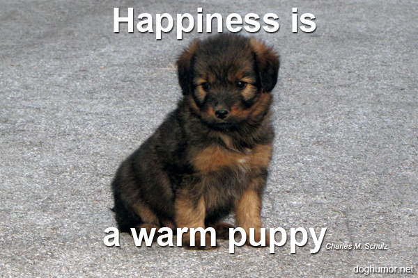 Happiness Is... - Dog Humor