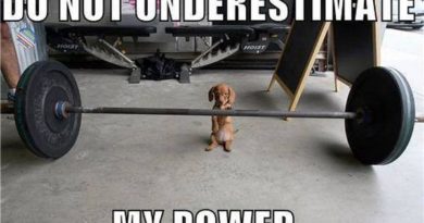 Puppy Power - Dog humor