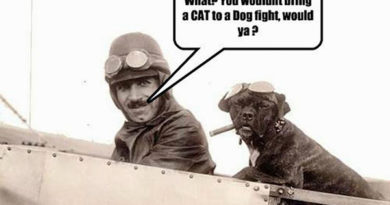 Dogfight - Dog humor