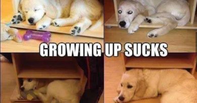Growing Up Sucks - Dog humor