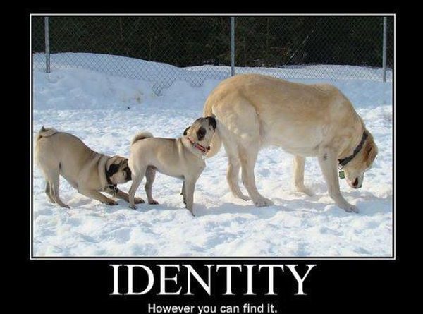 Identity - Dog humor