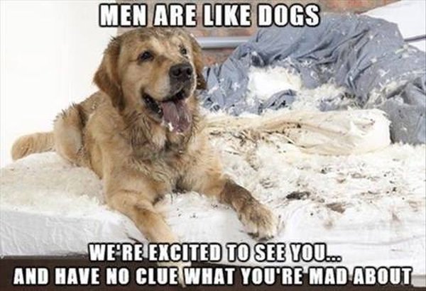 Men Are Like Dogs - Dog humor