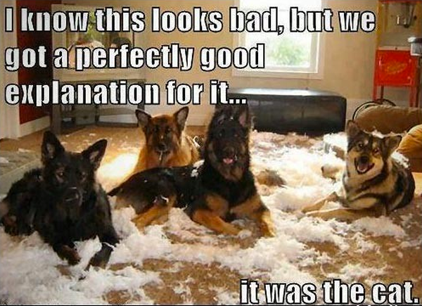 Perfectly Good Explanation - Dog humor