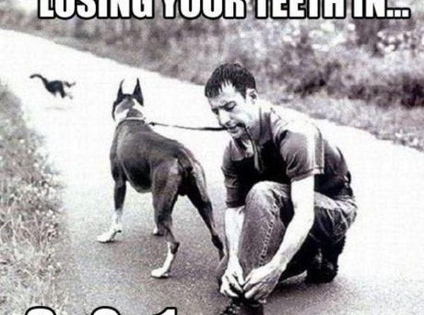 Losing Your Teeth In 3...2...1... - Dog humor
