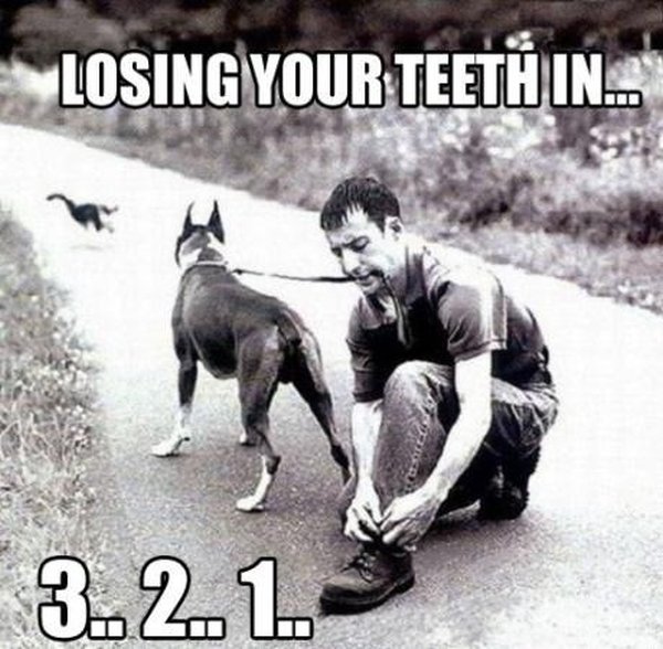 dog-humor-losing-your-teeth-in-3-2-1.jpg