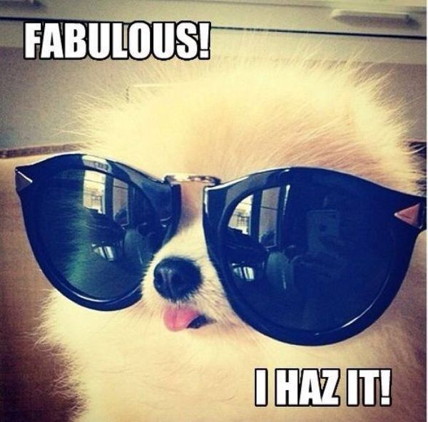 Fabulous! – Dog Humor
