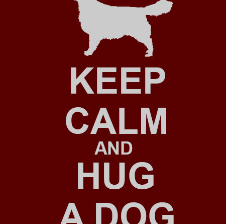 Keep Calm And Hug A Dog - Dog humor
