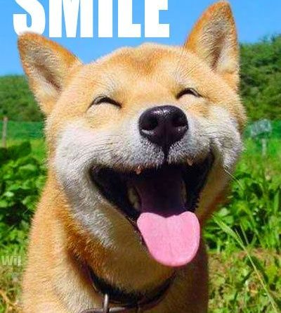 Smile It's Friday - Dog humor