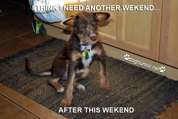 I Think I Need Another Weekend... - Dog humor