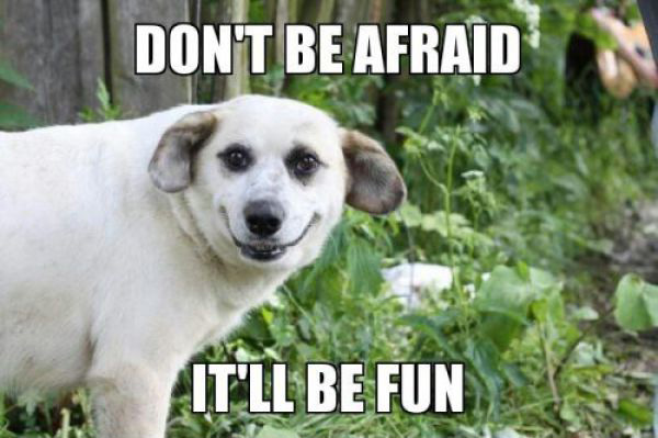 Don't Be Afraid - Dog Humor