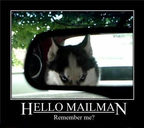Hello Mailman - Dog humor