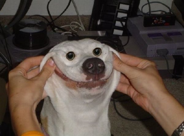 Smile! Weekend Is Here! - Dog Humor