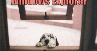 Windows Explorer - Dog humor