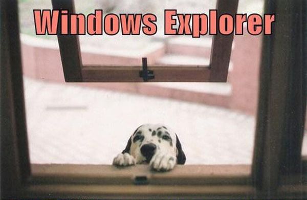 Windows Explorer - Dog humor