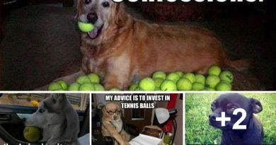 That Special Tennis Ball