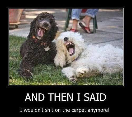 And Then I Said - Dog humor