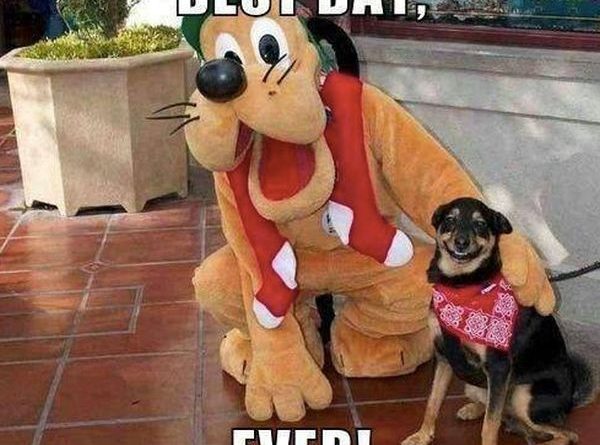 Best Day Ever - Dog humor