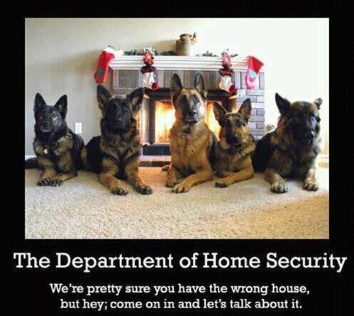 The Department Of Home Security - Dog humor