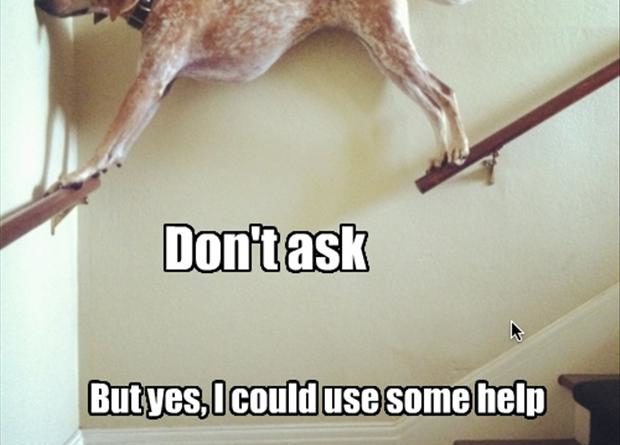 Don't Ask - Dog humor