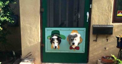 Awesome Dog Door - Dog humor