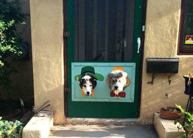 Awesome Dog Door - Dog humor