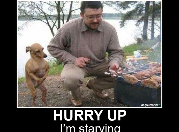 Hurry Up - Dog humor