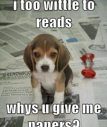 I Too Wittle To Reads - Dog humor