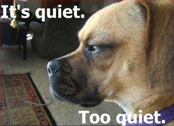 dog-humor-its-too-quiet.jpg