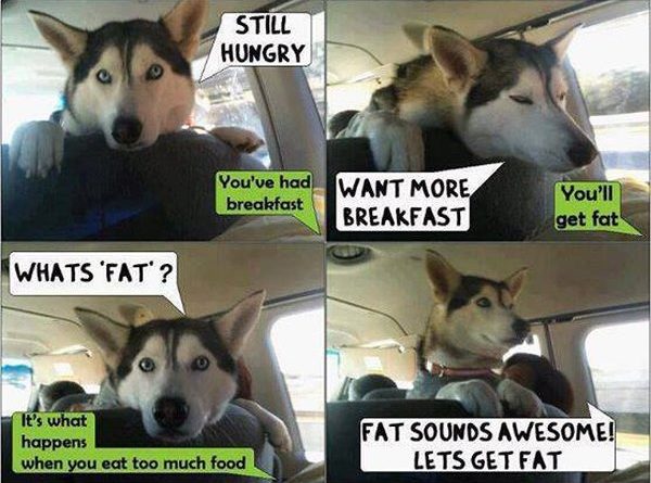 Let's Get Fat - Dog humor