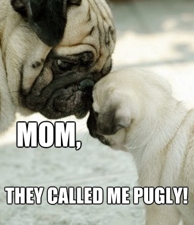 Pugly - Dog humor