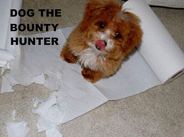 Dog The Bounty Hunter - Dog humor