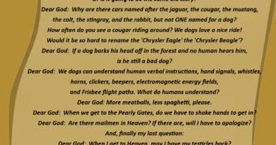 Dog's Letter To God - Dog humor