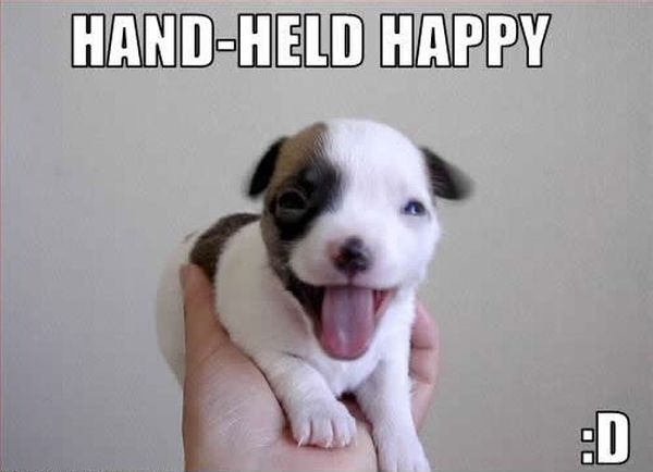 Hand-Held Happy - Dog humor