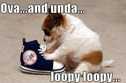 How To Tie Shoelaces - Dog humor