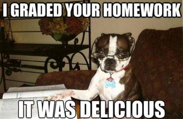 dog homework jokes
