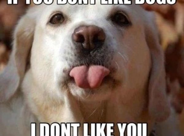 If You Don't Like Dogs - Dog humor