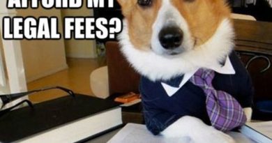 Lawyer Dog - Dog humor