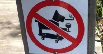 No Cool Dogs Allowed - Dog humor