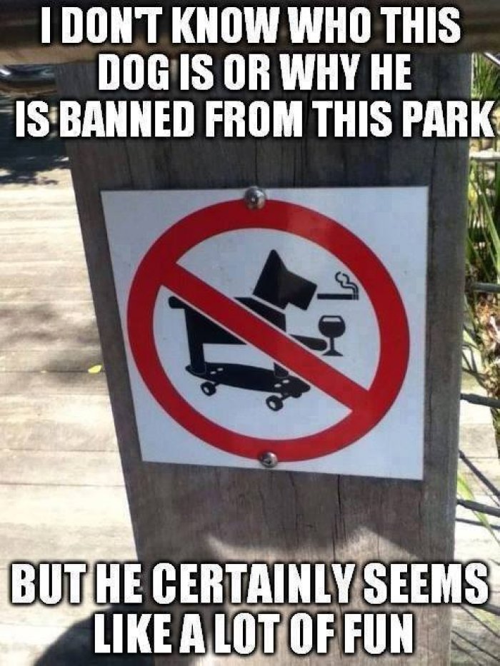 dog-humor-no-cool-dogs-allowed-sign-park.jpg