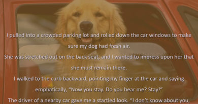 Parking A Dog - Dog humor