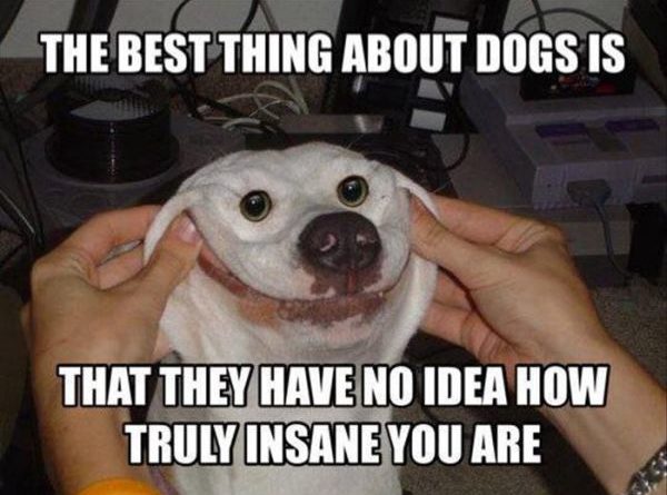 The Best Thing About Dogs - Dog humor