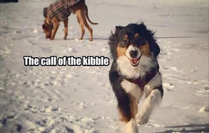 When Nature Calls - Dog humor
