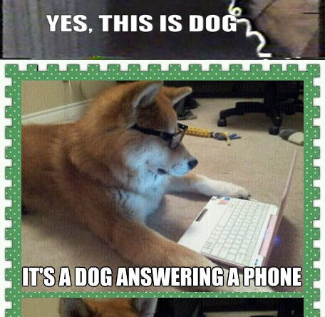It's A Dog Answering A Phone - Dog humor