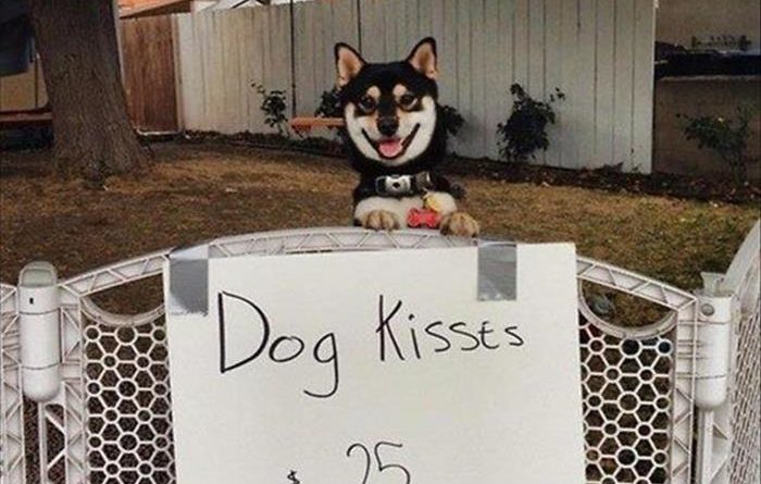 Dog Kisses - Dog humor